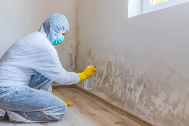 Licensed Mold Testing service in West Linn, OR - WQB Mold Removal