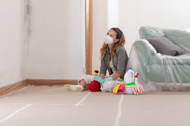Reliable Mold Testing contractor in West Linn, OR by WQB Mold Removal